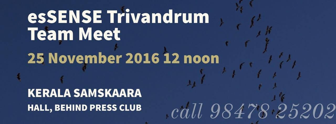 esSENSE Trivandrum  Team Meet